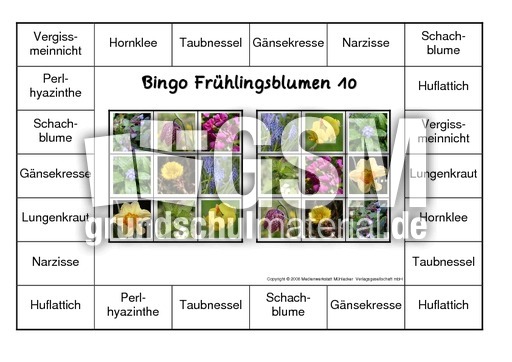 Bingo-Frühlingsblüten-10.pdf